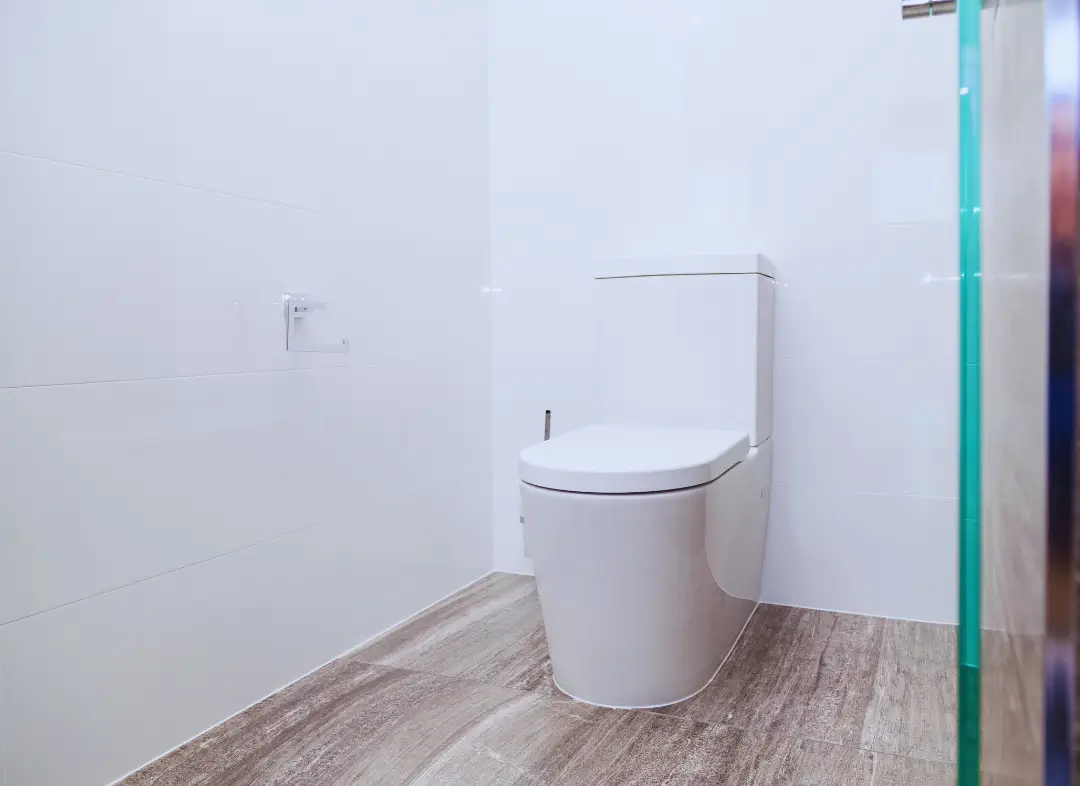 Remplacement de wc Nazelles-Négron